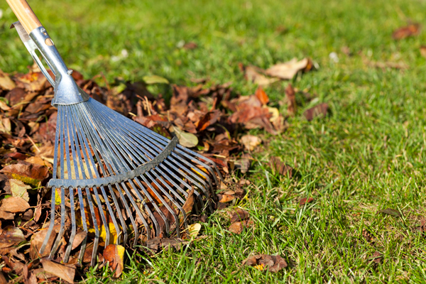 Professional Garden Clean Up South East Melbourne – Transform Your Outdoor Space in Pakenham, Cranbourne, Berwick & More
