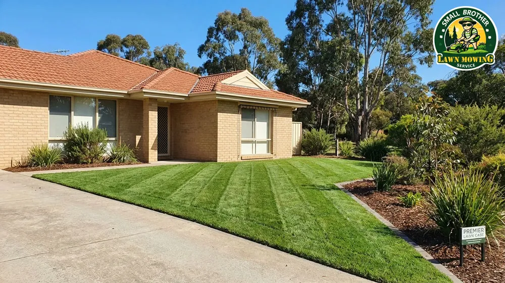 Professional lawn mowing Berwick – lush green striped Kikuyu lawn with sharp precision edging in suburban front yard