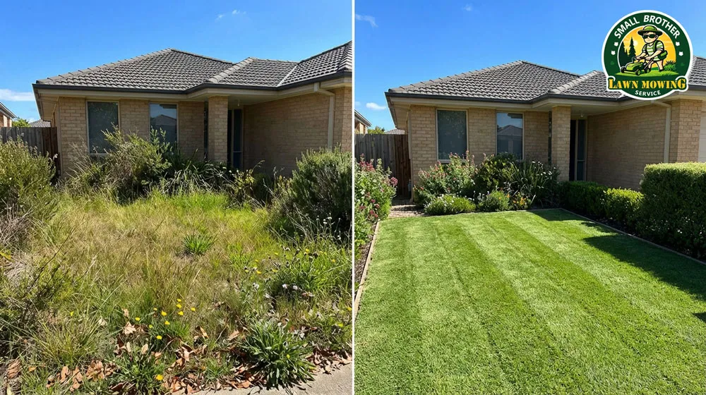 Professional lawn mowing Clyde – lush green striped Kikuyu lawn with sharp precision edging in suburban front yard