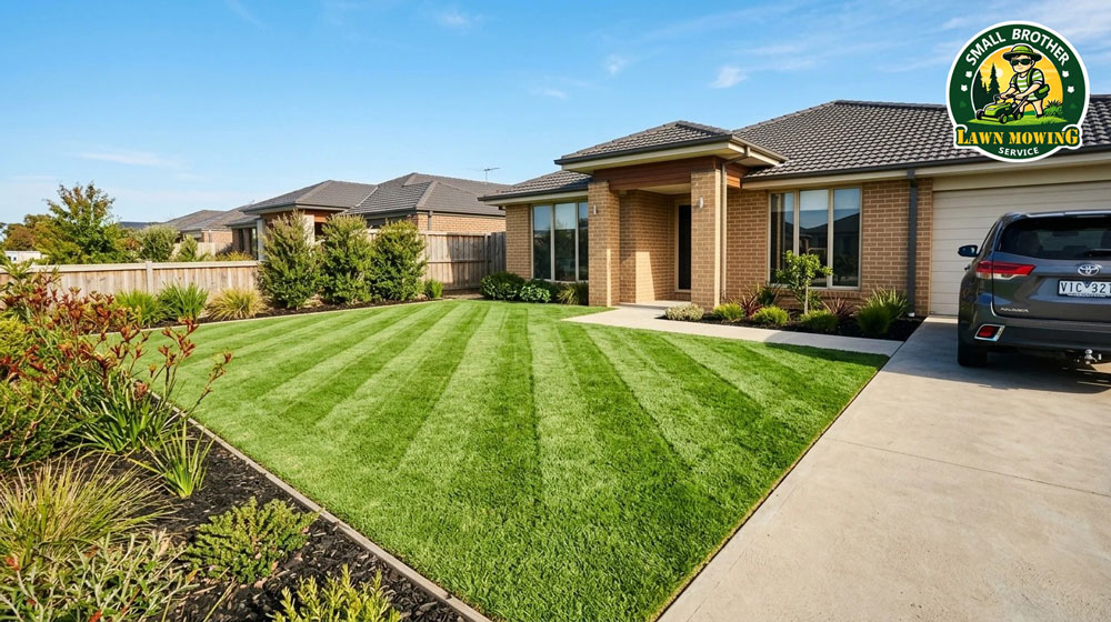 Professional lawn mowing Cranbourne – lush green striped Kikuyu lawn with sharp precision edging in suburban front yard