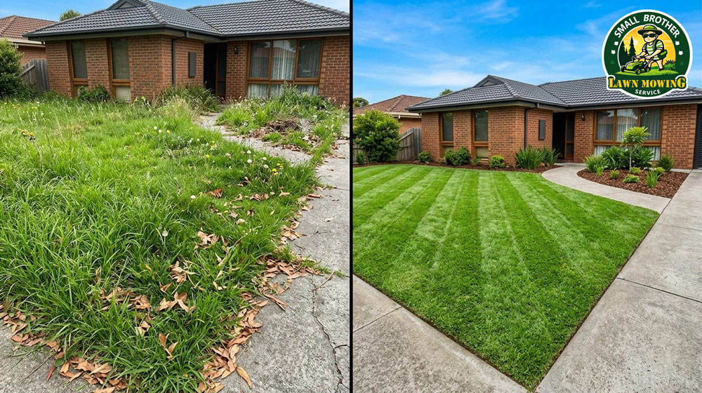 Professional lawn mowing Dandenong – lush green striped Kikuyu lawn with sharp precision edging in suburban front yard