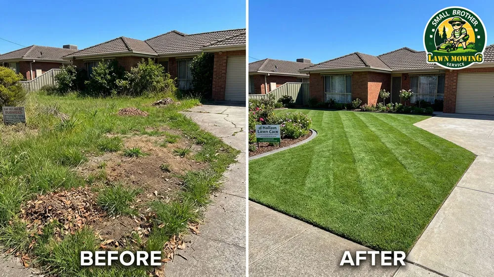 Professional lawn mowing Hallam – lush green striped Kikuyu lawn with sharp precision edging in suburban front yard