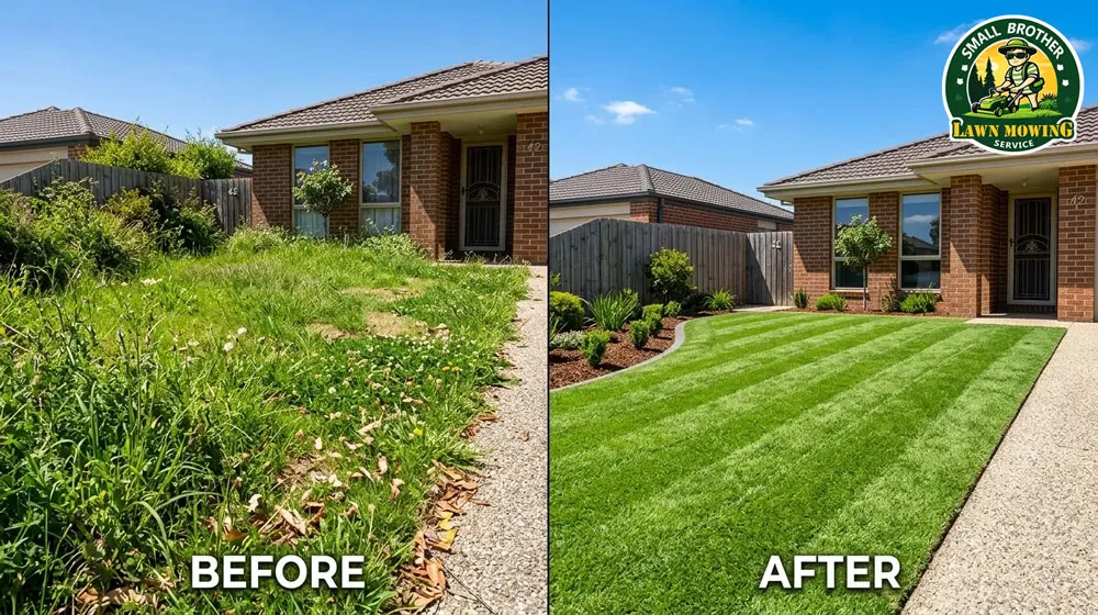 Professional lawn mowing Hampton Park – lush green striped Kikuyu lawn with sharp precision edging in suburban front yard
