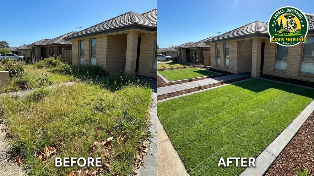 Professional lawn mowing Lynbrook – lush green striped Kikuyu lawn with sharp precision edging in suburban front yard