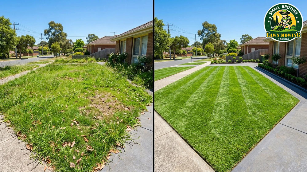 Before and after lawn mowing Narre Warren – overgrown messy lawn transformed to neat green striped yard