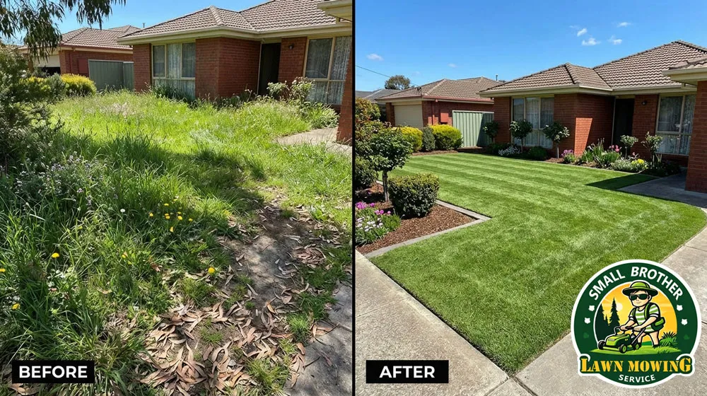 Lawn mowing Pakenham before and after – overgrown yard transformed to neat striped green lawn by Small Brother