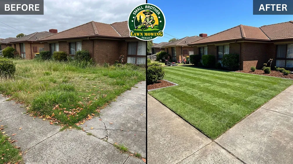 Professional lawn mowing Doveton – lush green striped Kikuyu lawn with sharp precision edging in suburban front yard