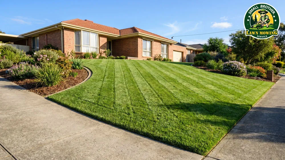 Professional lawn mowing Endeavour Hills – lush green striped Kikuyu lawn with sharp precision edging on sloping block