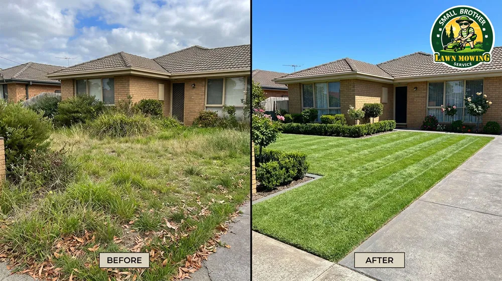 Professional lawn mowing Keysborough – lush green striped Kikuyu lawn with sharp precision edging in suburban front yard