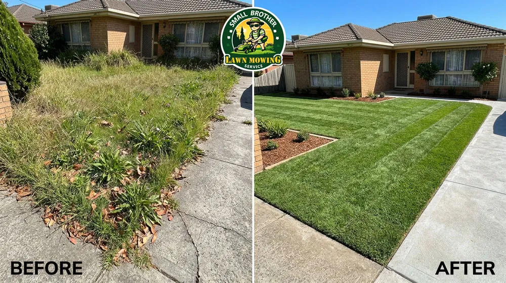 Professional lawn mowing Noble Park – lush green striped Kikuyu lawn with sharp precision edging in suburban front yard