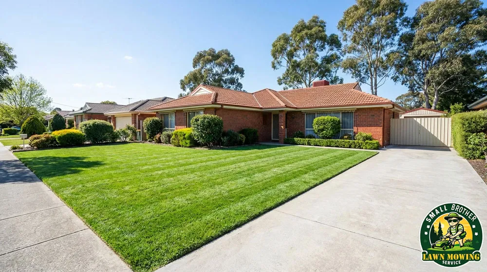 Healthy Kikuyu lawn care in Narre Warren South – freshly mowed green striped grass with sharp edging and no weeds